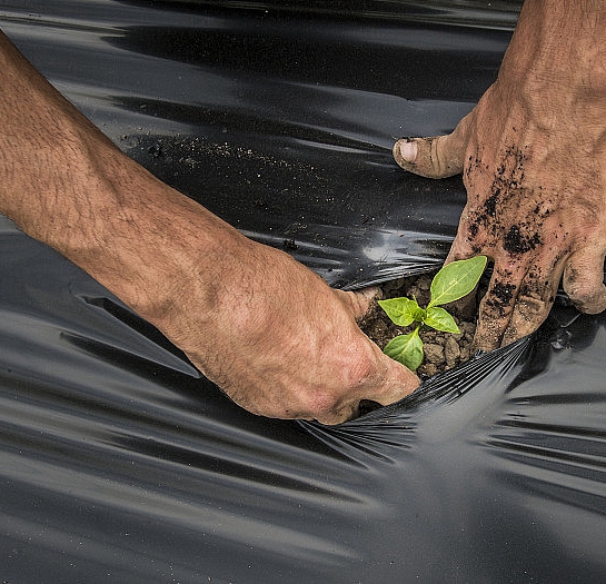 LLDPE Black Opaque Stretch Film Masterbatch