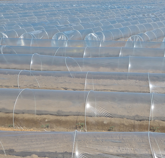 LLDPE  Opaque Stretch Film Masterbatch