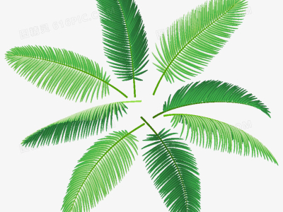 Polylactic acid: a solution to plastic pollution.